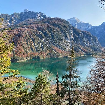 Bergglueck - Gemuetliches Appartement Am Traunsee Altmünster Zewnętrze zdjęcie