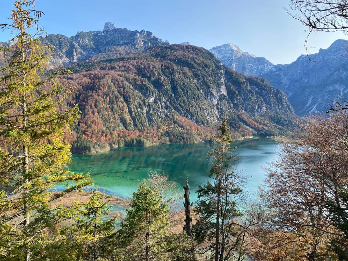 Bergglueck - Gemuetliches Appartement Am Traunsee Altmünster Zewnętrze zdjęcie