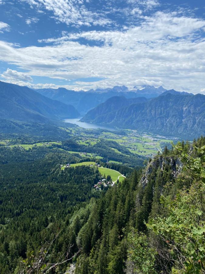 Bergglueck - Gemuetliches Appartement Am Traunsee Altmünster Zewnętrze zdjęcie