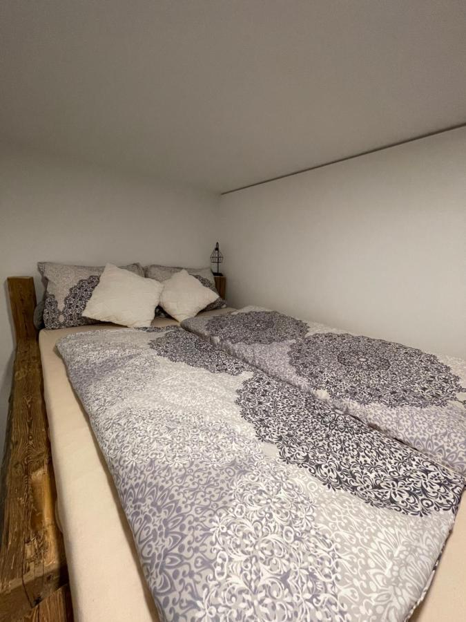 Bergglueck - Gemuetliches Appartement Am Traunsee Altmünster Zewnętrze zdjęcie